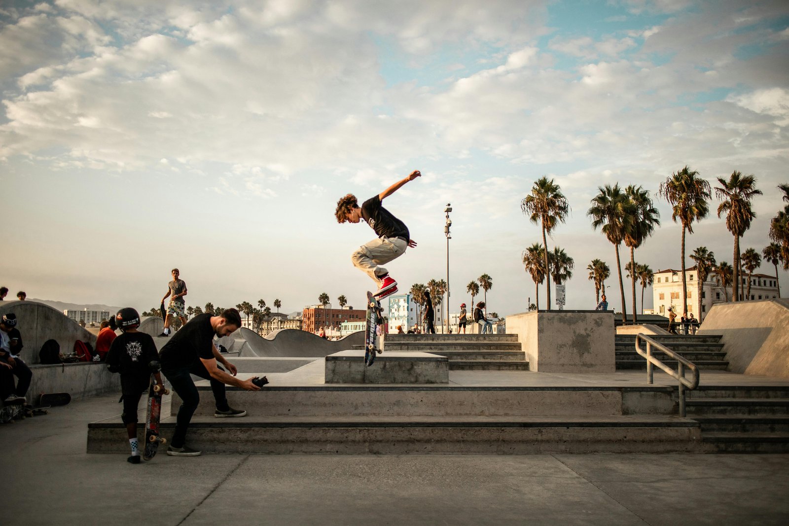 Skaters and palm trees around a concrete bowl